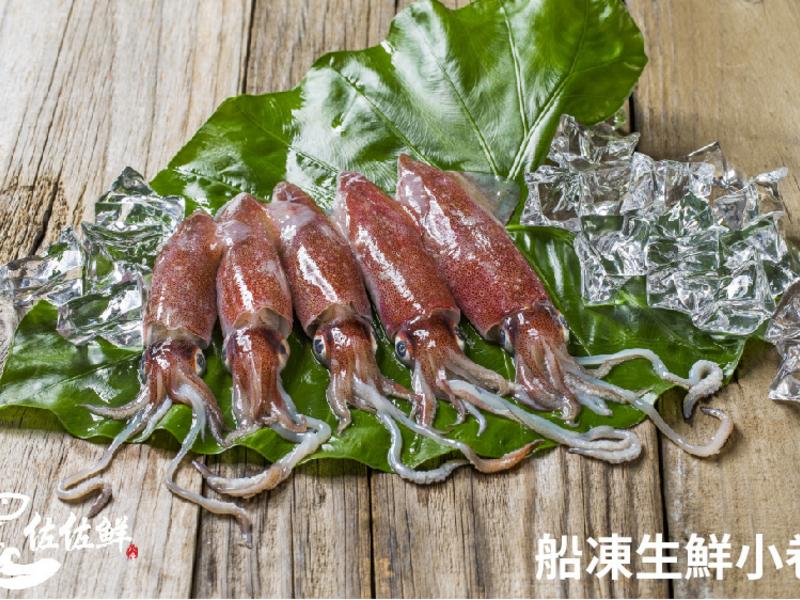 船凍生鮮小卷（中）