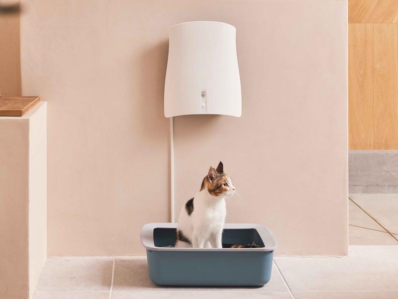 【限時69折】日本 QAIS 萌寵除味君