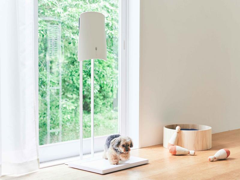 【加購】免釘牆立架